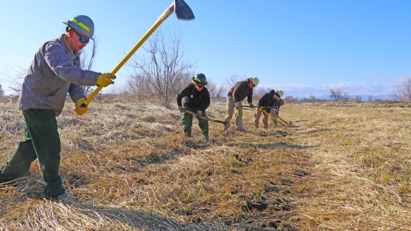 Crew and equipment performing large-scale fuel reduction on public land, with safety signage and a contracting officer present