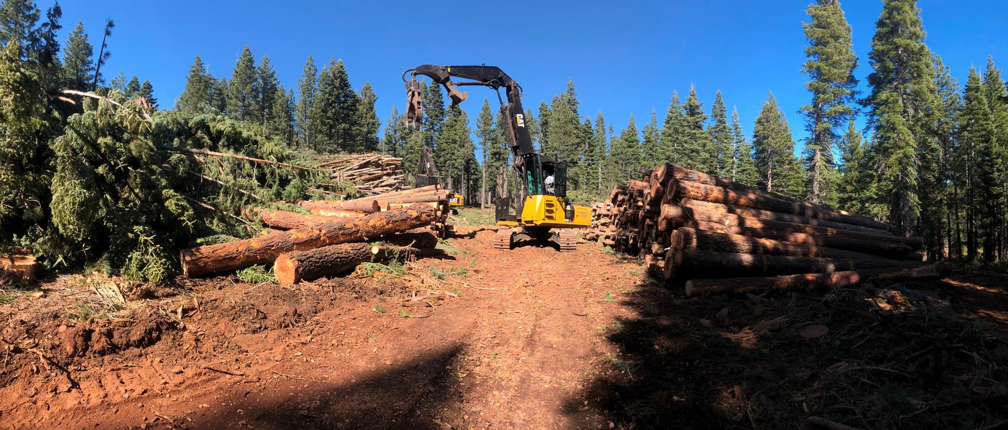 Large-scale forest thinning project on public land with crew and equipment