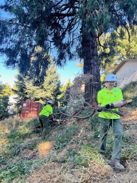 Crew clearing brush and ladder fuels on a sloped lot